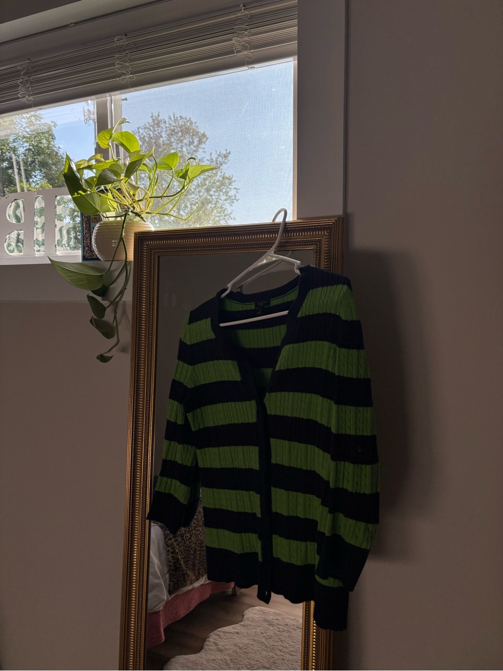 Talbots Men's Striped V-Neck Cardigan in Green and Black